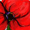 another-big-poppy by ploiesteana