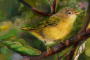 bird-on-the-tree bird-on-the-tree