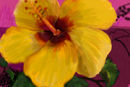 flower flower