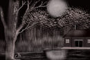bayou-at-night
