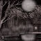 bayou-at-night by sketchpad