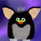 my-new-furby by mimirotuka