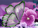 flutter-away