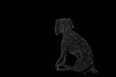 doggie doggie