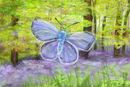 forestbutterfly