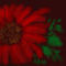 flower by sketchpad