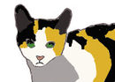 one-of-my-rp-kitties