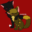 amberheartxnightpelt amberheartxnightpelt