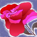 abstract-rose abstract-rose