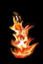 light-my-fire light-my-fire