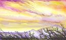 violet-hills