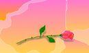a-silent-rose