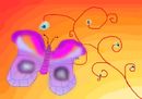 butterfly butterfly