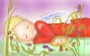 dreaming-fairy dreaming-fairy