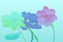 water-flowers water-flowers