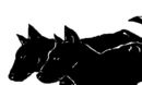 dogs