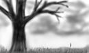 an-autumn-gloom