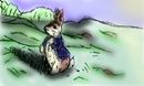 benjamin-bunny