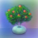 fruit-plant