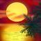 hawaiian-sunshine by debrosi