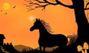 unicorn