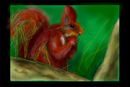 a-little-squirrel-for-