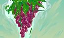 wet-grapes