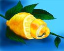 peeled-lemon peeled-lemon
