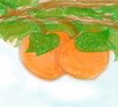 twin-peaches