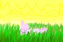 bunny