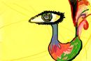 eye
