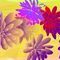 flowerplay by xina54