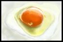 fried-egg fried-egg