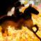 neigh2 by dooby