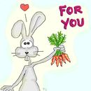 rabbit-in-love