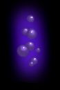 the-bubbles