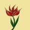red-tulip by flower