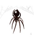 spider-message