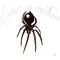 spider-message by elli