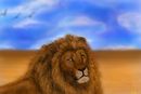 lion