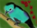 lonely-bird
