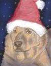 xmas-dog