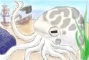 octapus