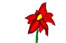 multi-flower
