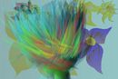 random-flowers