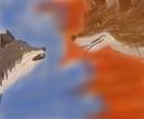 confrontation