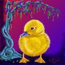 wisteria-and-baby-duck