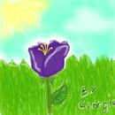 flower-power