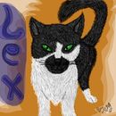 my-kitty-lex