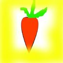 sping-carrott